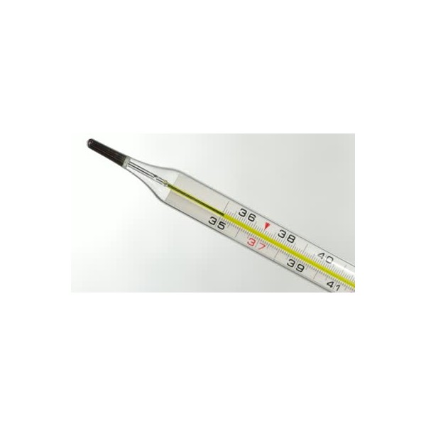 Mercury thermometer shop for sale
